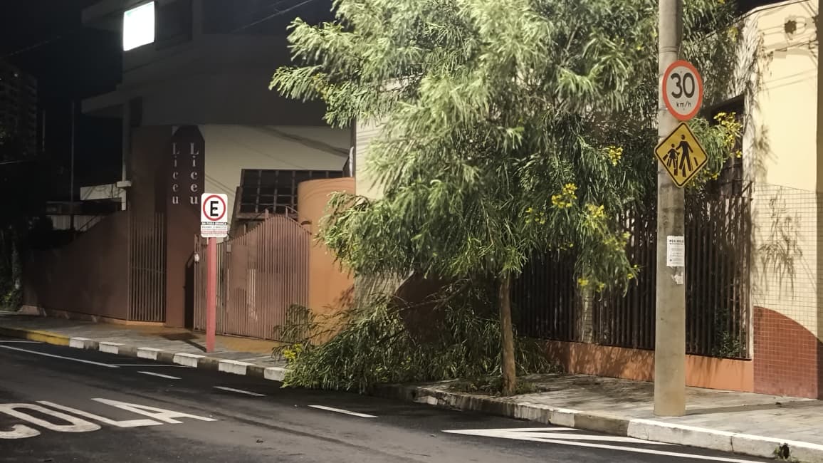 Foto 52 de 67 — TEMPORAL EM FOTOS: veja imagens de destruição em Araraquara